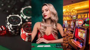 5588bet7