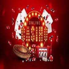 5588bet7